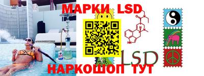 стафф Дубна
