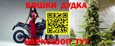 стафф Дубна